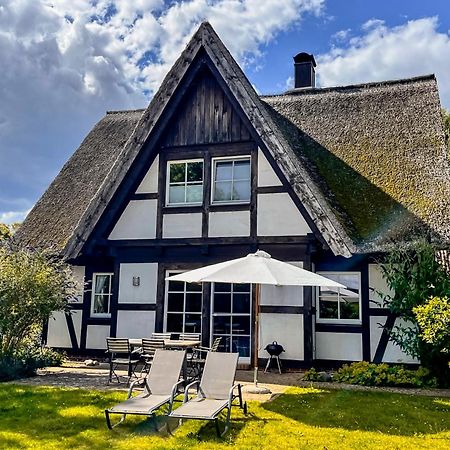 Ferienhaus Flieder In Liepe Rankwitz Dış mekan fotoğraf